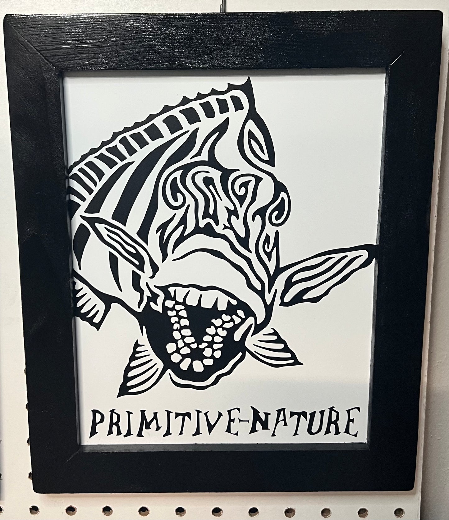 Framed Sheephead 8"x10"in